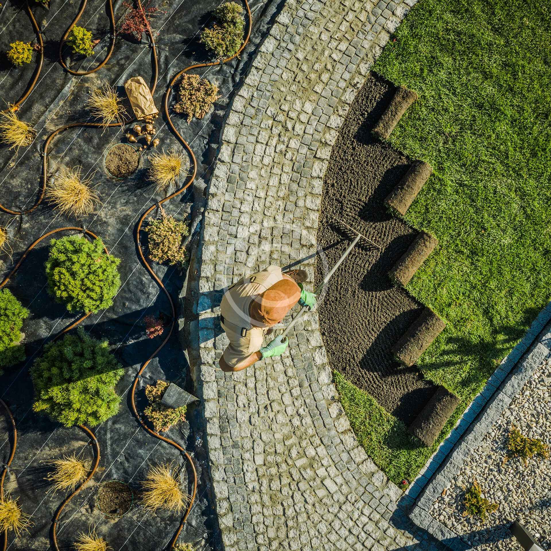 Tissue Culture Services